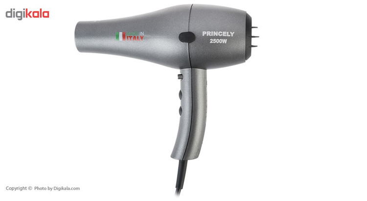 سشوار حرفهای پرنسلی مدل PR251AT
