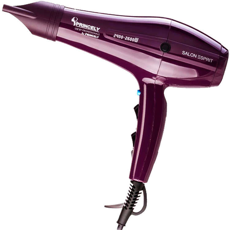 سشوار حرفه ای پرنسلی مدل PR250AT