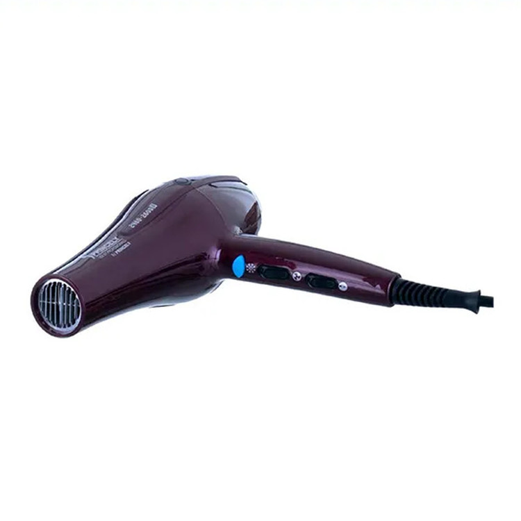 سشوار حرفه ای پرنسلی مدل PR250AT