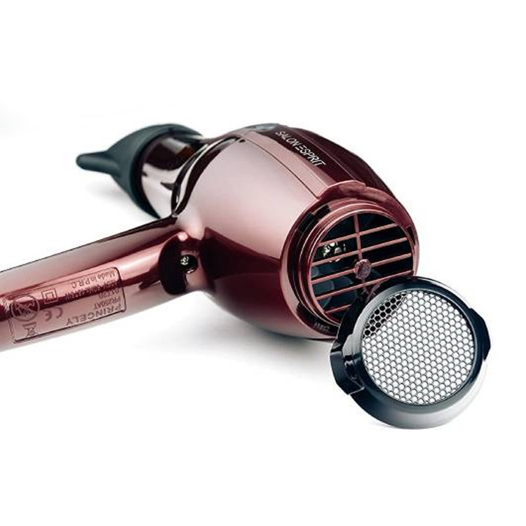 سشوار حرفه ای پرنسلی مدل PR250AT