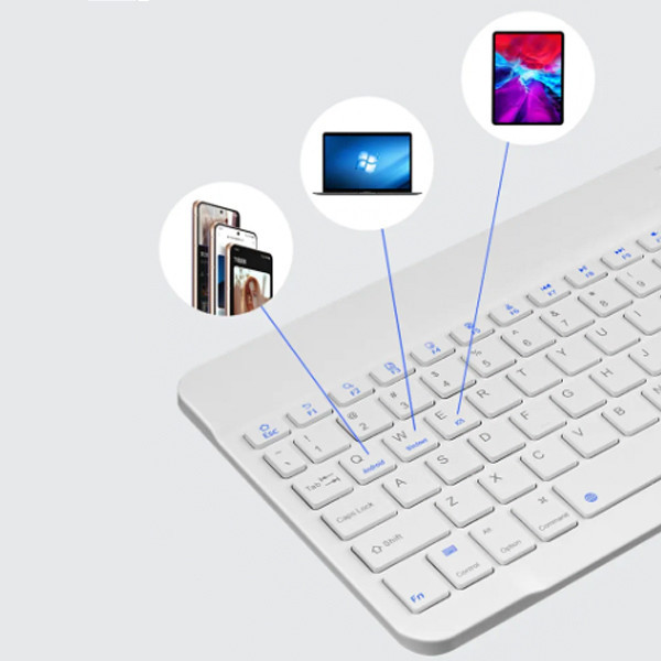 کیبورد بی سیم جکنگ مدل JW-330، سوییچ ممبران، Tenkeyless