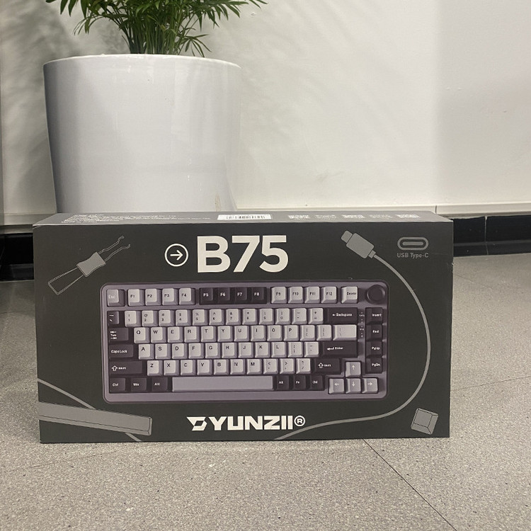 کیبورد یونزی مدل B75 RGB