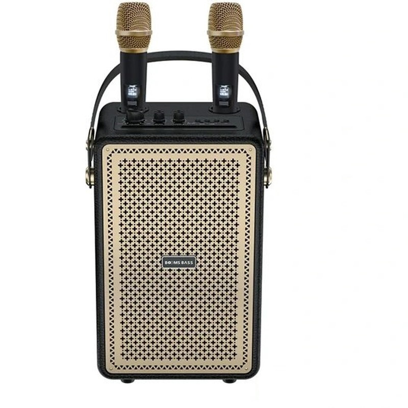اسپیکر قابل حمل مدل +BOOMS BASS M4203