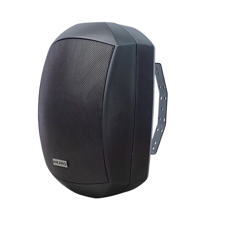 اسپیکر دیواری ام.پرو مدل DP-5110