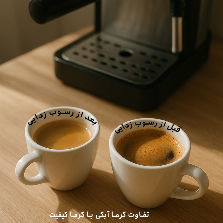 پودر جرم گیر اسپرسوساز نِت پرسو مدل دو قلو TwinClean 2X